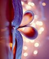 Amira - Psychologische Lebensberatung - Medium & Channeling - Hellsehen & Wahrsagen - Liebe & Partnerschaft - Beruf & Arbeitsleben Amira - Psychologische Lebensberatung - Medium & Channeling - Hellsehen & Wahrsagen - Liebe & Partnerschaft - Beruf & Arbeitsleben