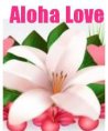 Elaila - Beruf & Arbeitsleben - Medium & Channeling - Psychologische Lebensberatung - Familie - Liebe & Partnerschaft Elaila - Beruf & Arbeitsleben - Medium & Channeling - Psychologische Lebensberatung - Familie - Liebe & Partnerschaft