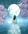 La Luna - Hellsehen & Wahrsagen - Medium & Channeling - Liebe & Partnerschaft - Tarot & Kartenlegen - Beruf & Arbeitsleben La Luna - Hellsehen & Wahrsagen - Medium & Channeling - Liebe & Partnerschaft - Tarot & Kartenlegen - Beruf & Arbeitsleben