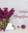 LILLY - Herzgefühl - Psychologische Lebensberatung - Sonstige Bereiche - Beruf & Arbeitsleben - Tarot & Kartenlegen - Medium & Channeling LILLY - Herzgefühl - Psychologische Lebensberatung - Sonstige Bereiche - Beruf & Arbeitsleben - Tarot & Kartenlegen - Medium & Channeling