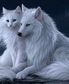 Sharina - Familie - Liebe & Partnerschaft - Tarot & Kartenlegen - Beruf & Arbeitsleben - Sonstige Bereiche Sharina - Familie - Liebe & Partnerschaft - Tarot & Kartenlegen - Beruf & Arbeitsleben - Sonstige Bereiche
