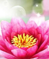 MyAngela - Psychologische Lebensberatung - Medium & Channeling - Liebe & Partnerschaft - Hellsehen & Wahrsagen - Familie MyAngela - Psychologische Lebensberatung - Medium & Channeling - Liebe & Partnerschaft - Hellsehen & Wahrsagen - Familie