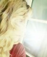 Sia - Sonstige Bereiche - Familie - Psychologische Lebensberatung - Beruf & Arbeitsleben - Liebe & Partnerschaft Sia - Sonstige Bereiche - Familie - Psychologische Lebensberatung - Beruf & Arbeitsleben - Liebe & Partnerschaft
