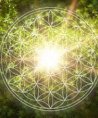 Simone - Familie - Tarot & Kartenlegen - Liebe & Partnerschaft - Beruf & Arbeitsleben Simone - Familie - Tarot & Kartenlegen - Liebe & Partnerschaft - Beruf & Arbeitsleben