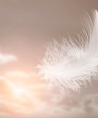 Medium Mina - Medium & Channeling - Hellsehen & Wahrsagen - Beruf & Arbeitsleben - Familie - Liebe & Partnerschaft