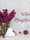 LILLY - Herzgefühl