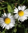 Marie-Luise - Familie - Sonstige Bereiche - Liebe & Partnerschaft - Beruf & Arbeitsleben - Psychologische Lebensberatung Marie-Luise - Familie - Sonstige Bereiche - Liebe & Partnerschaft - Beruf & Arbeitsleben - Psychologische Lebensberatung