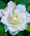 Lucia - Tierkommunikation - Beruf & Arbeitsleben - Medium & Channeling - Sonstige Bereiche - Astrologie & Horoskope Lucia - Tierkommunikation - Beruf & Arbeitsleben - Medium & Channeling - Sonstige Bereiche - Astrologie & Horoskope